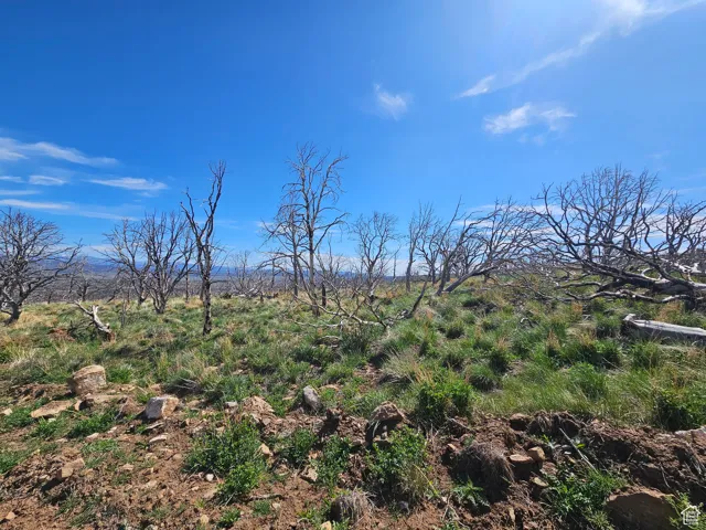 Beautiful Property Views