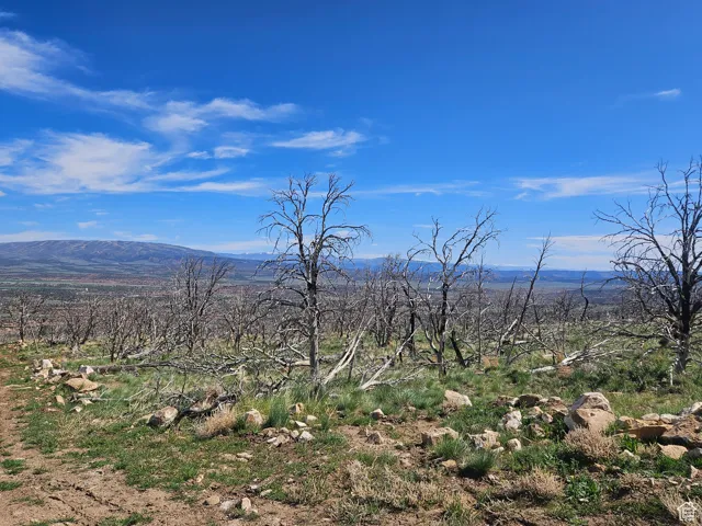 Beautiful Property Views