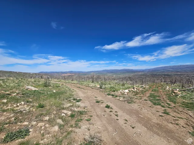 Beautiful Property Views