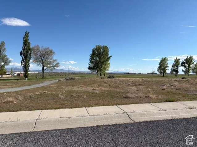 View of yard with a rural view