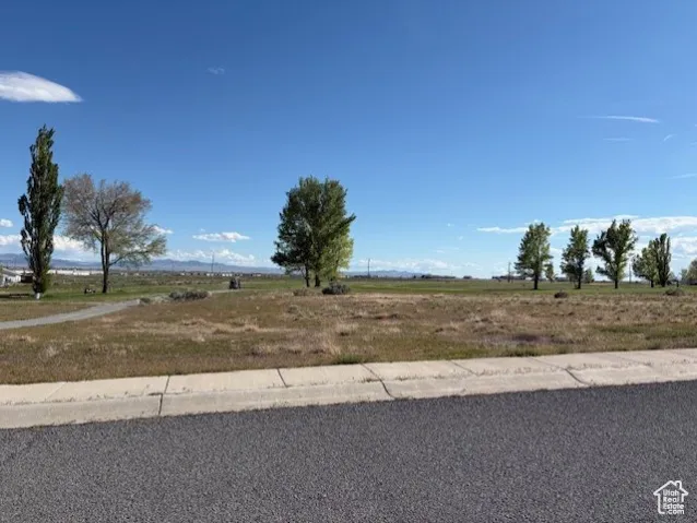 View of yard with a rural view