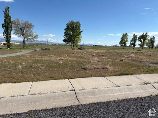 View of yard featuring a view of rural / pastoral area