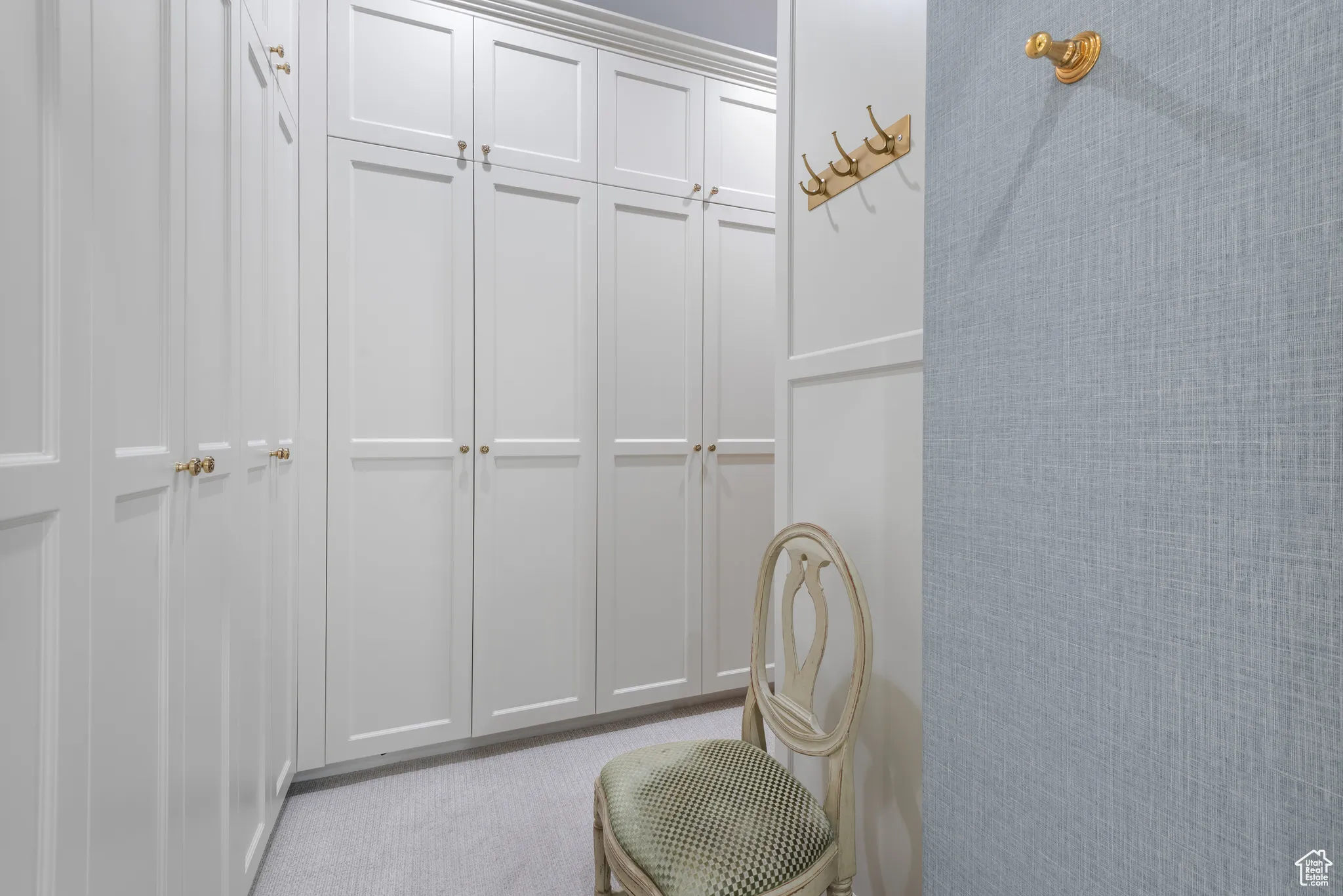 Spacious closet with carpet floors