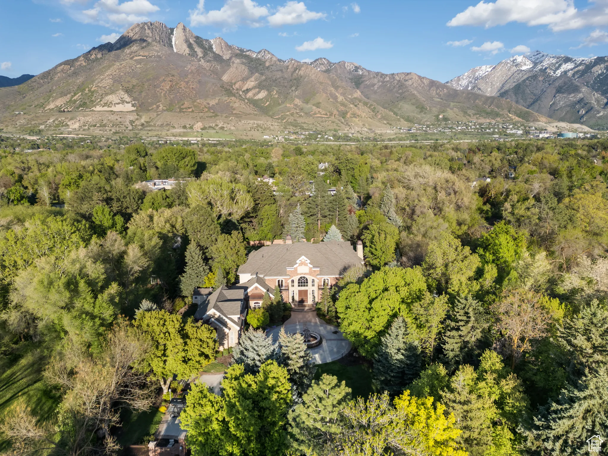 Aerial view of property's location with a heavily wooded area and a mountain backdrop