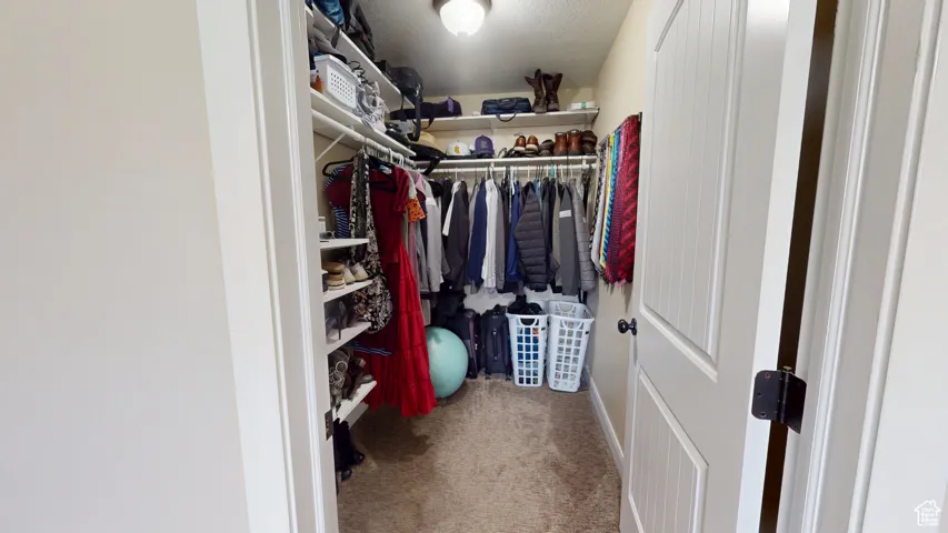 Spacious closet with carpet flooring
