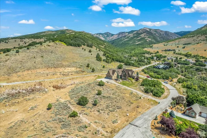View of mountain background