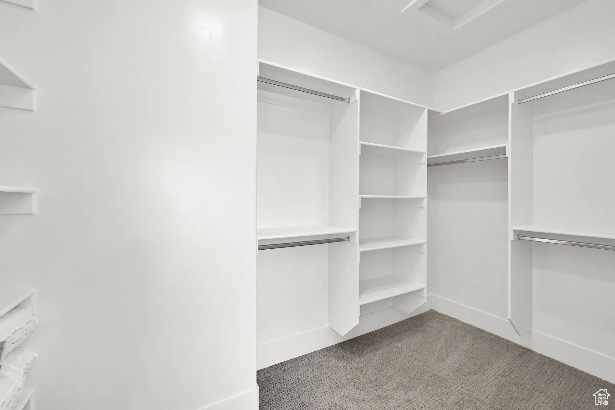 Spacious closet featuring light colored carpet