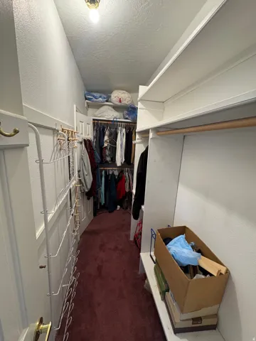 Walk in closet with dark colored carpet