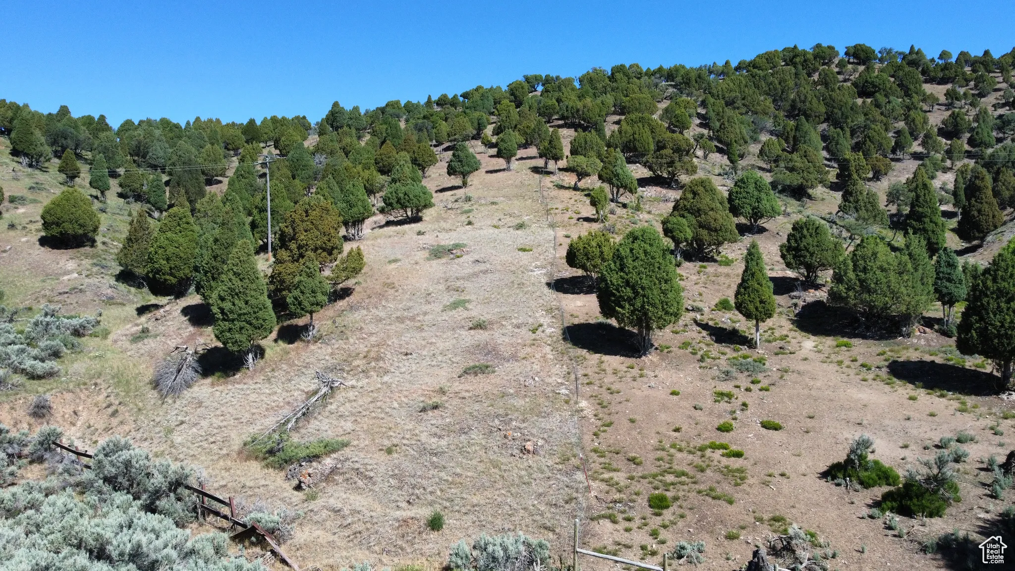 View of undeveloped land