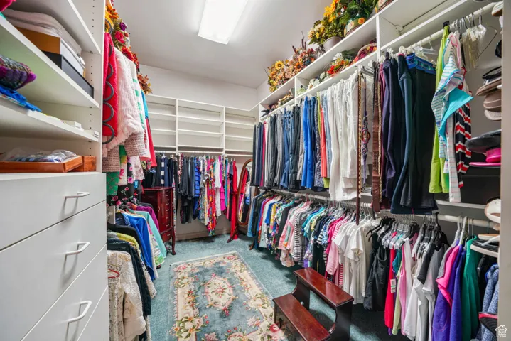 Spacious closet featuring carpet