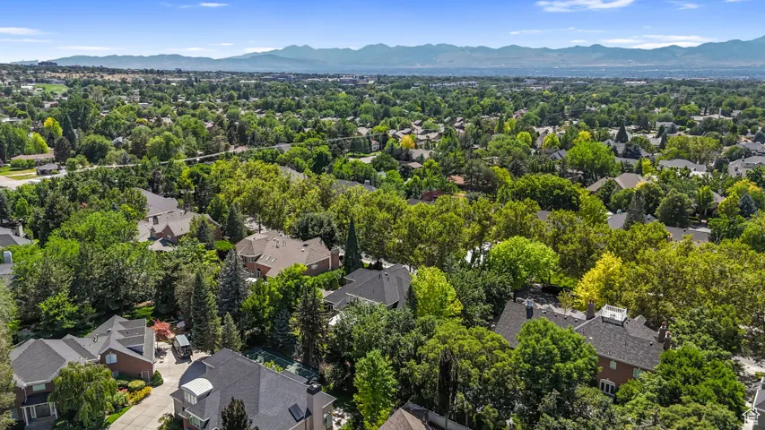 Aerial perspective of suburban area with mountains