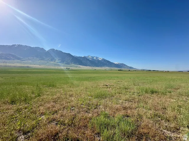 , Mona, Utah 84645