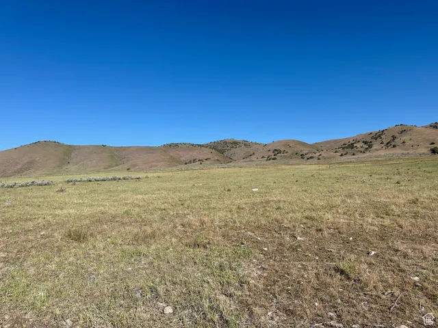 , Mona, Utah 84645