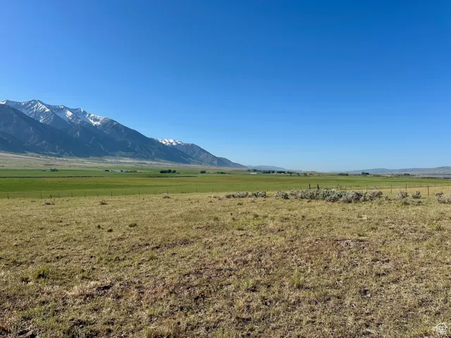 , Mona, Utah 84645