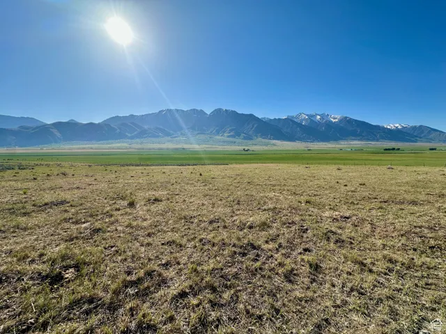 , Mona, Utah 84645