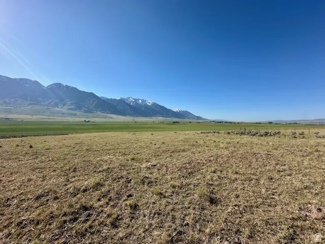 , Mona, Utah 84645