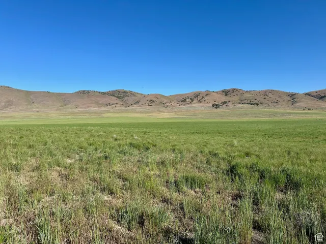 , Mona, Utah 84645