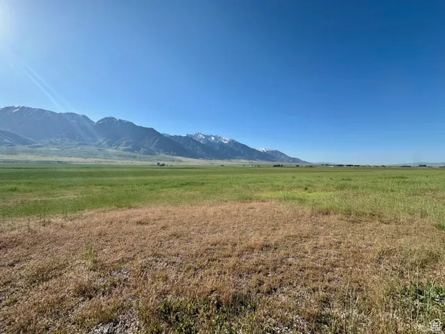 , Mona, Utah 84645