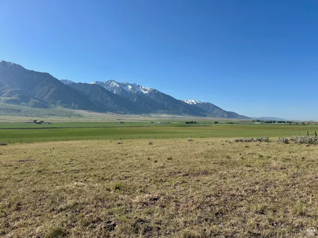, Mona, Utah 84645