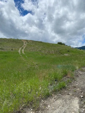 View of local wilderness with rural landscape