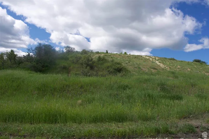 View of undeveloped land