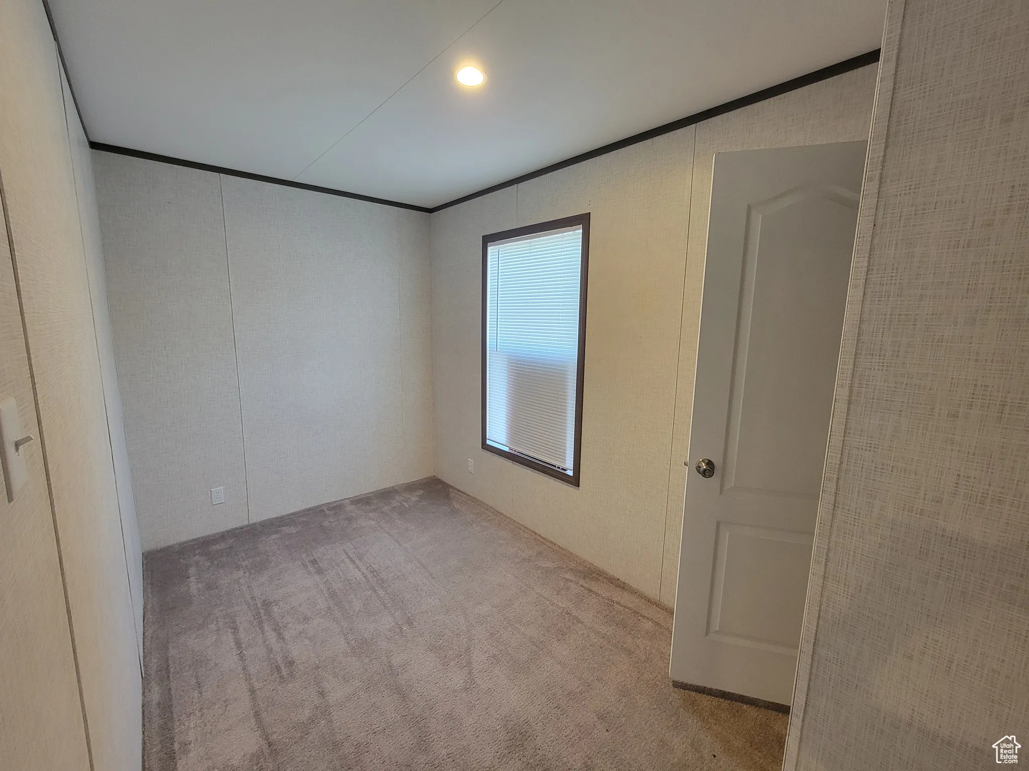 Carpeted spare room featuring crown molding