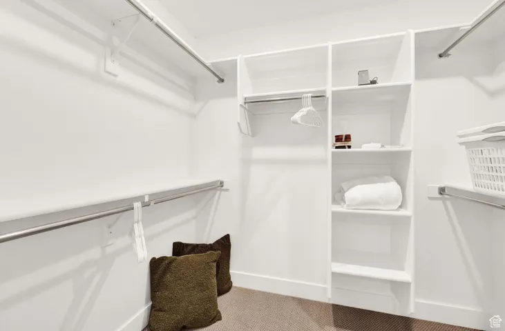 Walk in closet featuring carpet