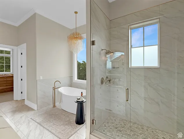 Bathroom with crown molding, a soaking tub, and a stall shower