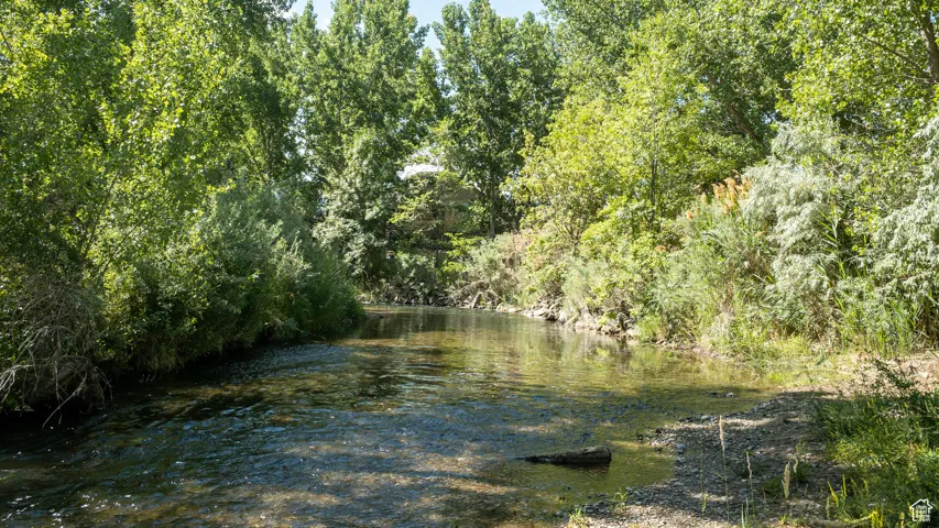 Water view with a heavily wooded area