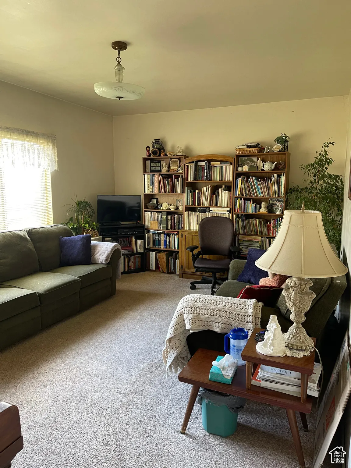 Front apartment/ retail/ office area