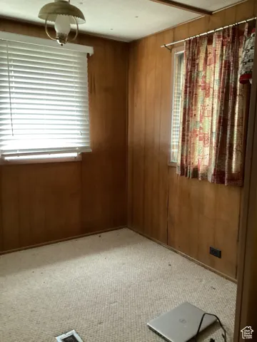 Carpeted spare room with wooden walls and healthy amount of natural light