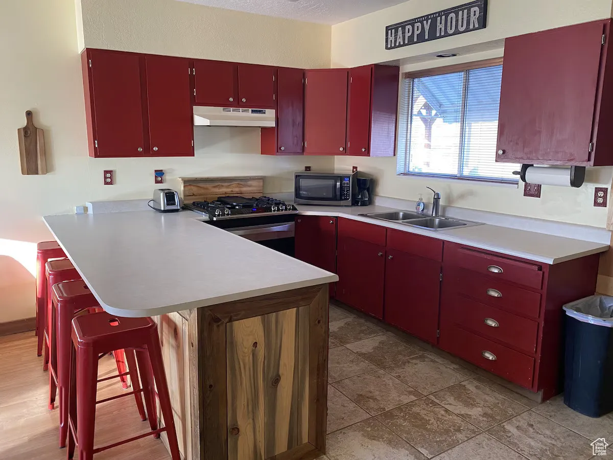Kitchen featuring stainless steel appliances, under cabinet range hood, red cabinets, and a sink
