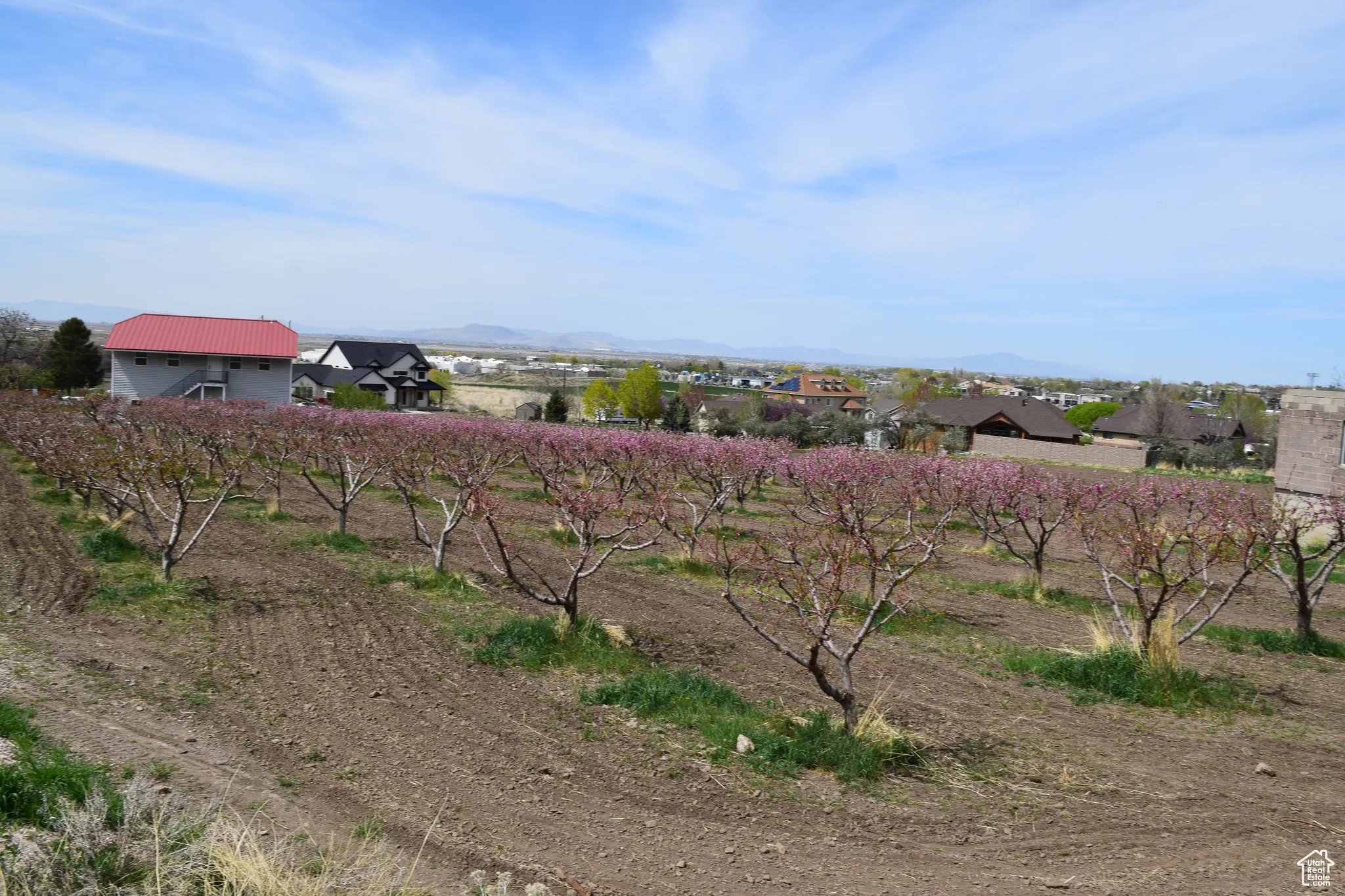 View of yard featuring a mountain view