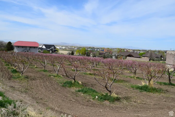 View of yard featuring a mountain view