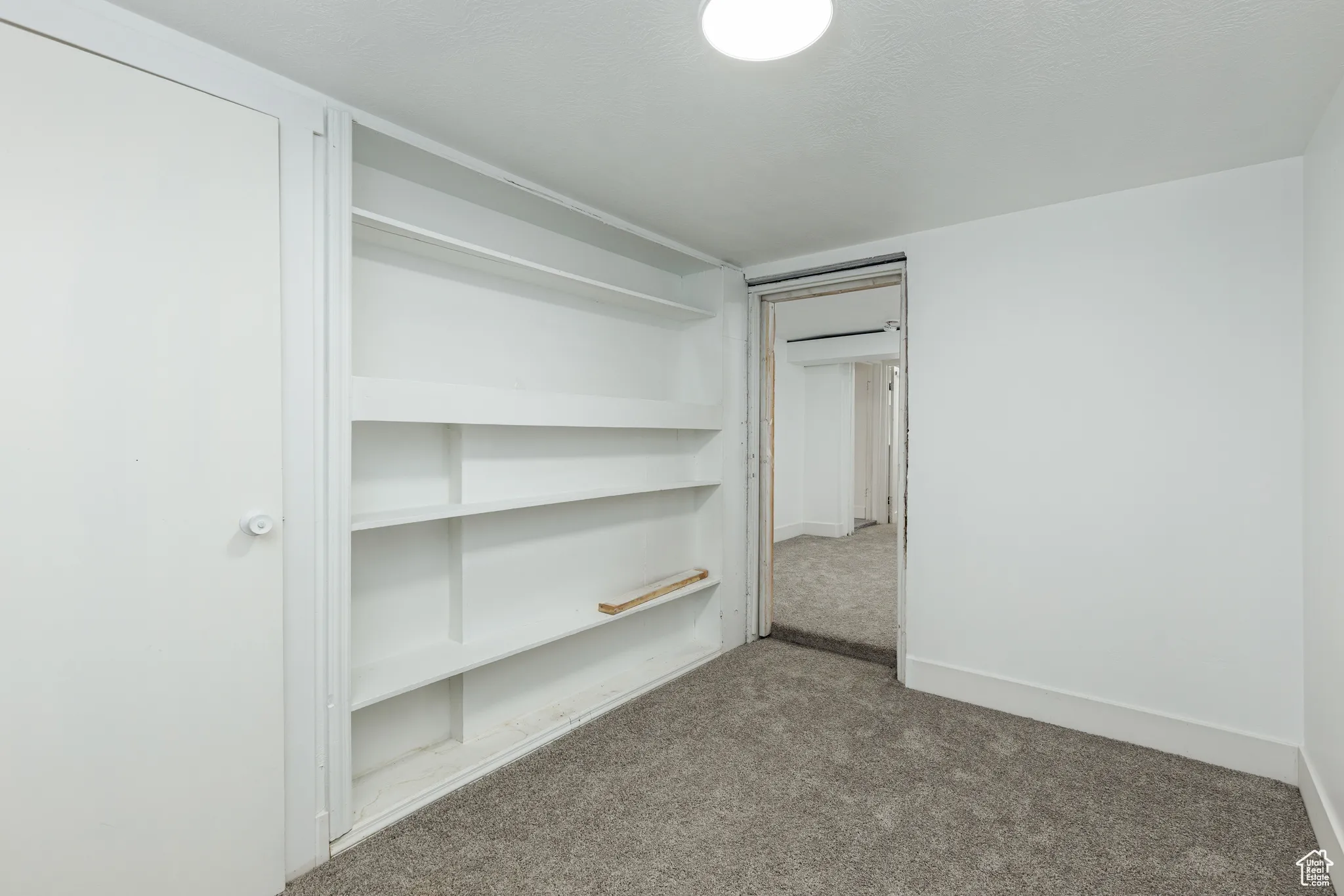 Spacious closet featuring carpet