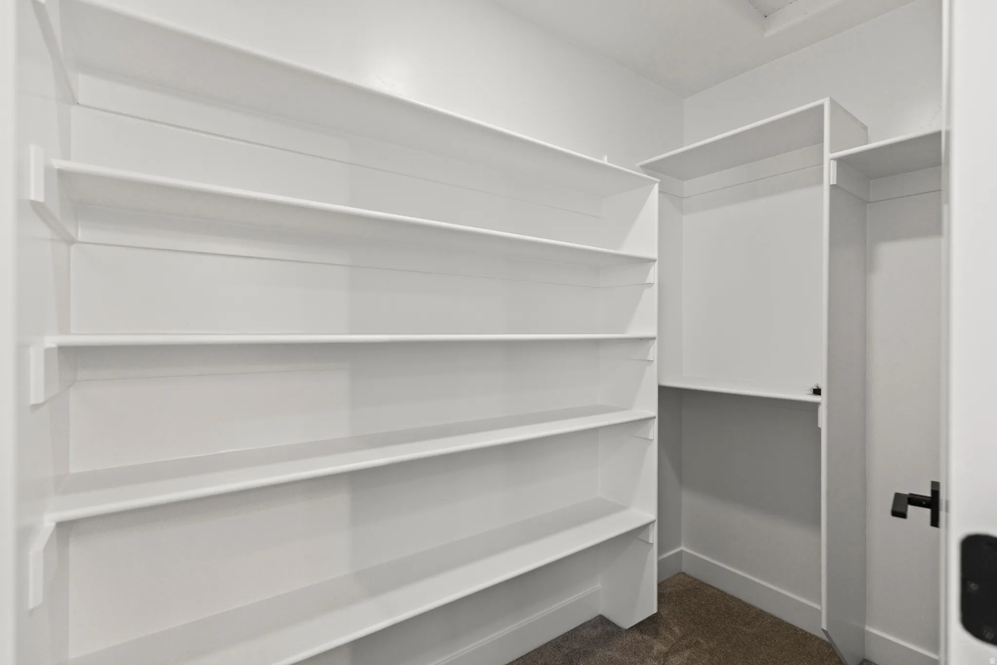 Spacious closet featuring dark colored carpet