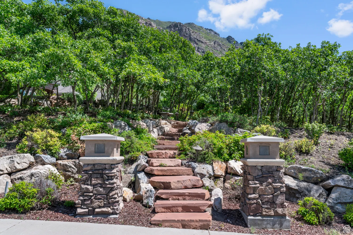 View of mountain background