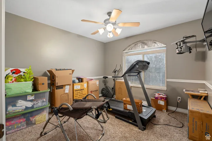 Workout room featuring carpet, a ceiling fan, and baseboards