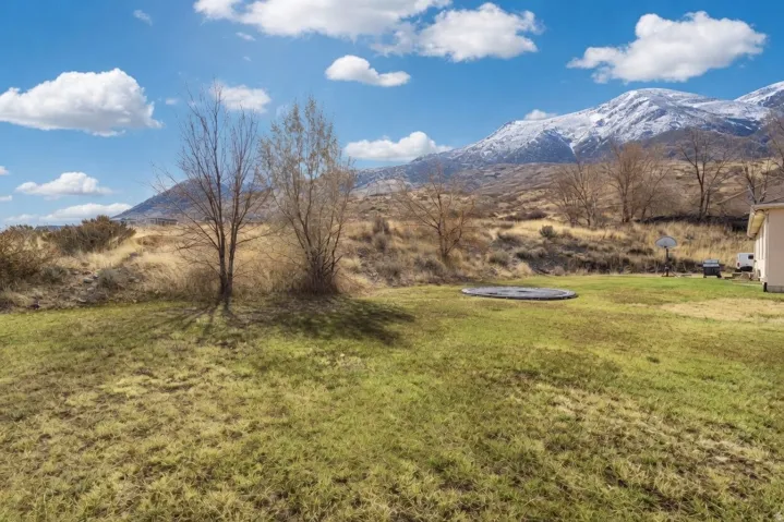 View of mountain background