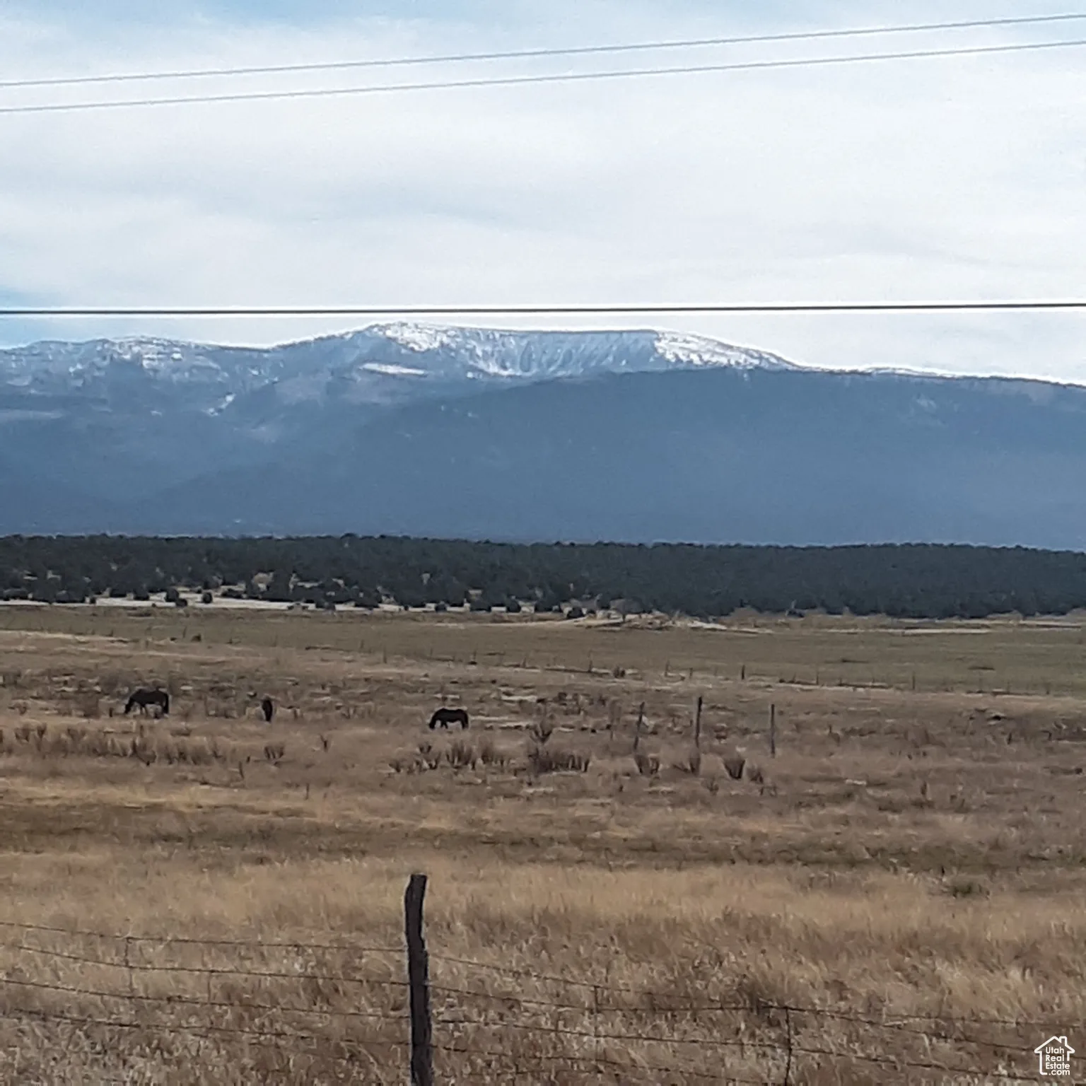 Mountain view with rural landscape