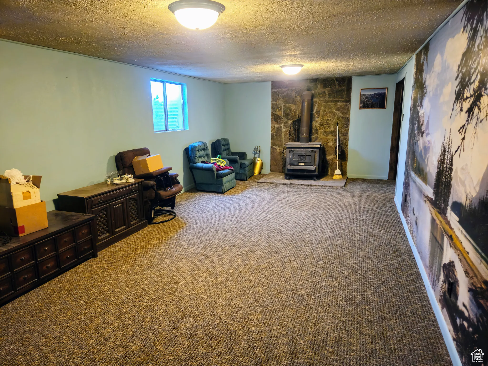 Living area featuring a wood stove, a textured ceiling, and carpet flooring