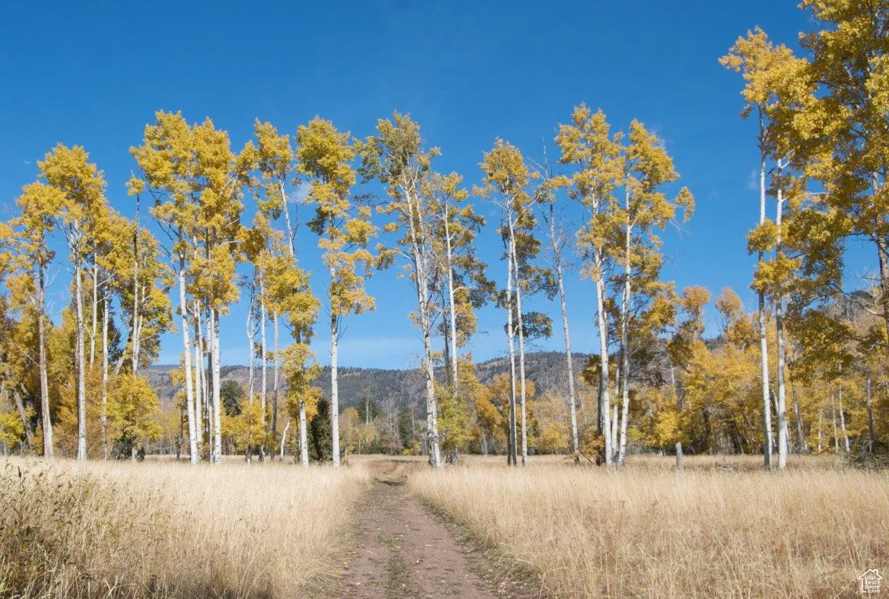 Upper Meadows in the Fall