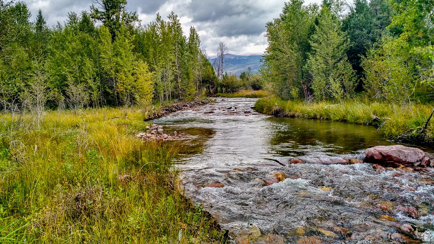 Summer Creek