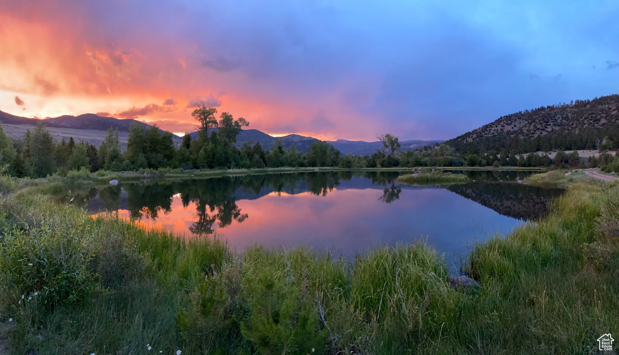 Jackson Lake