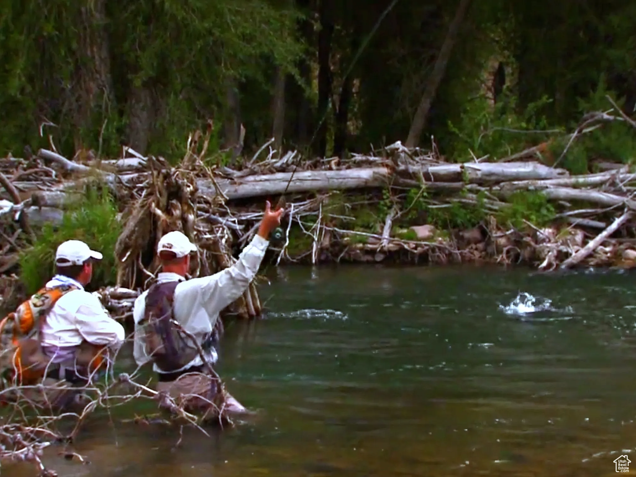 Fish on!