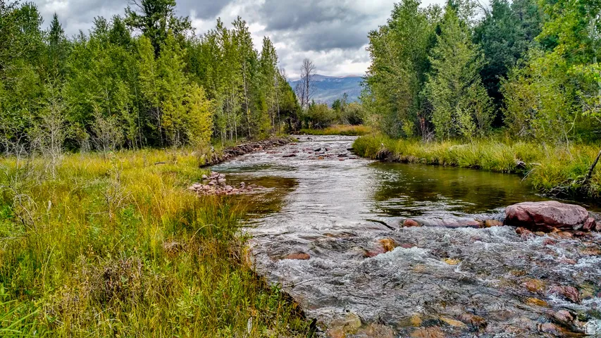 Summer Creek