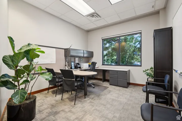Office space with light carpet, baseboards, and a drop ceiling