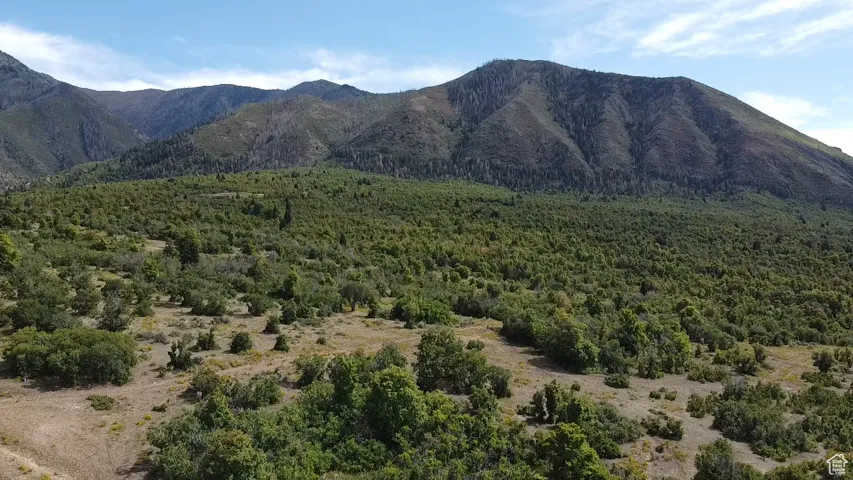 View of mountain backdrop featuring a heavily wooded area