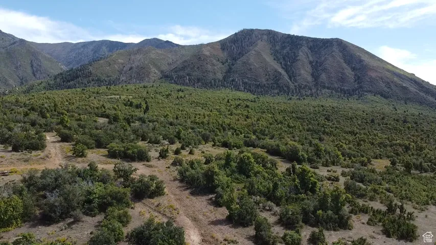 View of mountain background with a forest