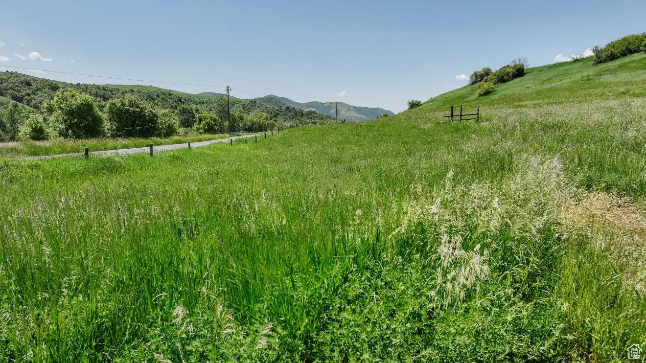 View of yard featuring a rural view and a mountain view